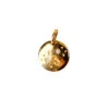Stargazer Charm 1 Stargazer Charm -Home Furnishings Store image 1120