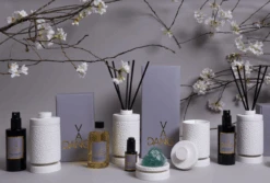 Savannah Reed Diffuser -Home Furnishings Store image 122