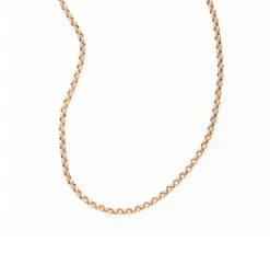 Long Rolo Chain Necklace