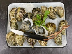 Ecailler Oyster Knife Ebony Handle 5 Ecailler Oyster Knife Ebony Handle -Home Furnishings Store image 133