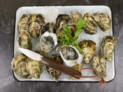 Ecailler Oyster Knife Wenge Handle -Home Furnishings Store image 135