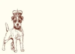 Royal Jack Russell Terrier Notes Set