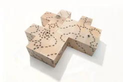 Antics Ant Blocks -Home Furnishings Store image 195