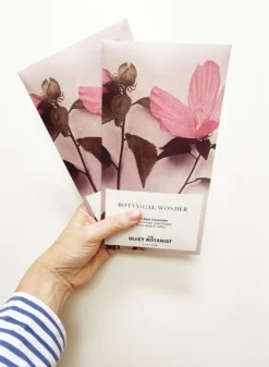 Botanical Wonder Chocolate Bar 9 Botanical Wonder Chocolate Bar -Home Furnishings Store image 283