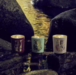 Tseng Terre A Terre, Candle 5 Tseng Terre A Terre, Candle -Home Furnishings Store image 355