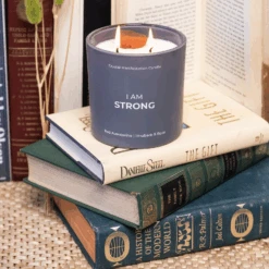 New Orleans Field Guide