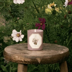 Rose Love Pepper Candle -Home Furnishings Store image 431