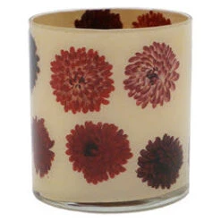 Cineraria Floral Desk Cup