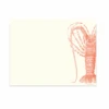 Lobster A2 Notes -Home Furnishings Store image 602
