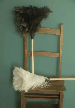 Cream 39in Feather Duster 7 Cream 39in Feather Duster -Home Furnishings Store image 630