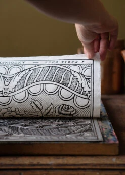 Oiseaux Et Feuillage Black Khaki Domino Paper 7 Oiseaux Et Feuillage Black Khaki Domino Paper -Home Furnishings Store image 685