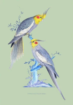 Couple De Perruches Print -Home Furnishings Store image 717