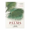 The Book Of Palms (XL) -Home Furnishings Store image 750