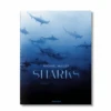 Sharks, Michael Muller Book -Home Furnishings Store image 764