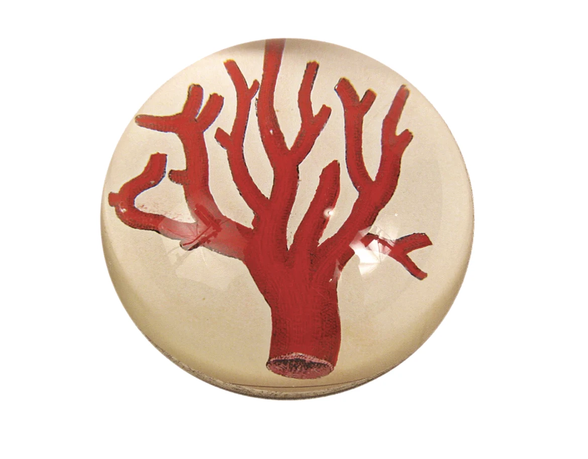 Round Pearl Chain Necklace 4 Round Pearl Chain Necklace - Image 2