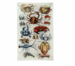 Crabs IX DecorativeTray