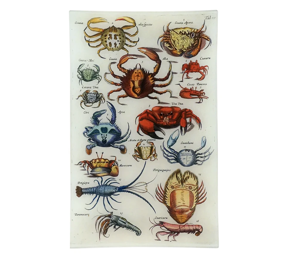 Crabs IX DecorativeTray 3 Crabs IX DecorativeTray
