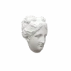 Venus Italica Head Bust 1 Venus Italica Head Bust -Home Furnishings Store image 826
