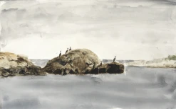 Cormorant Rock — Watercolor By Seth Fite 7 Cormorant Rock — Watercolor By Seth Fite -Home Furnishings Store image 830