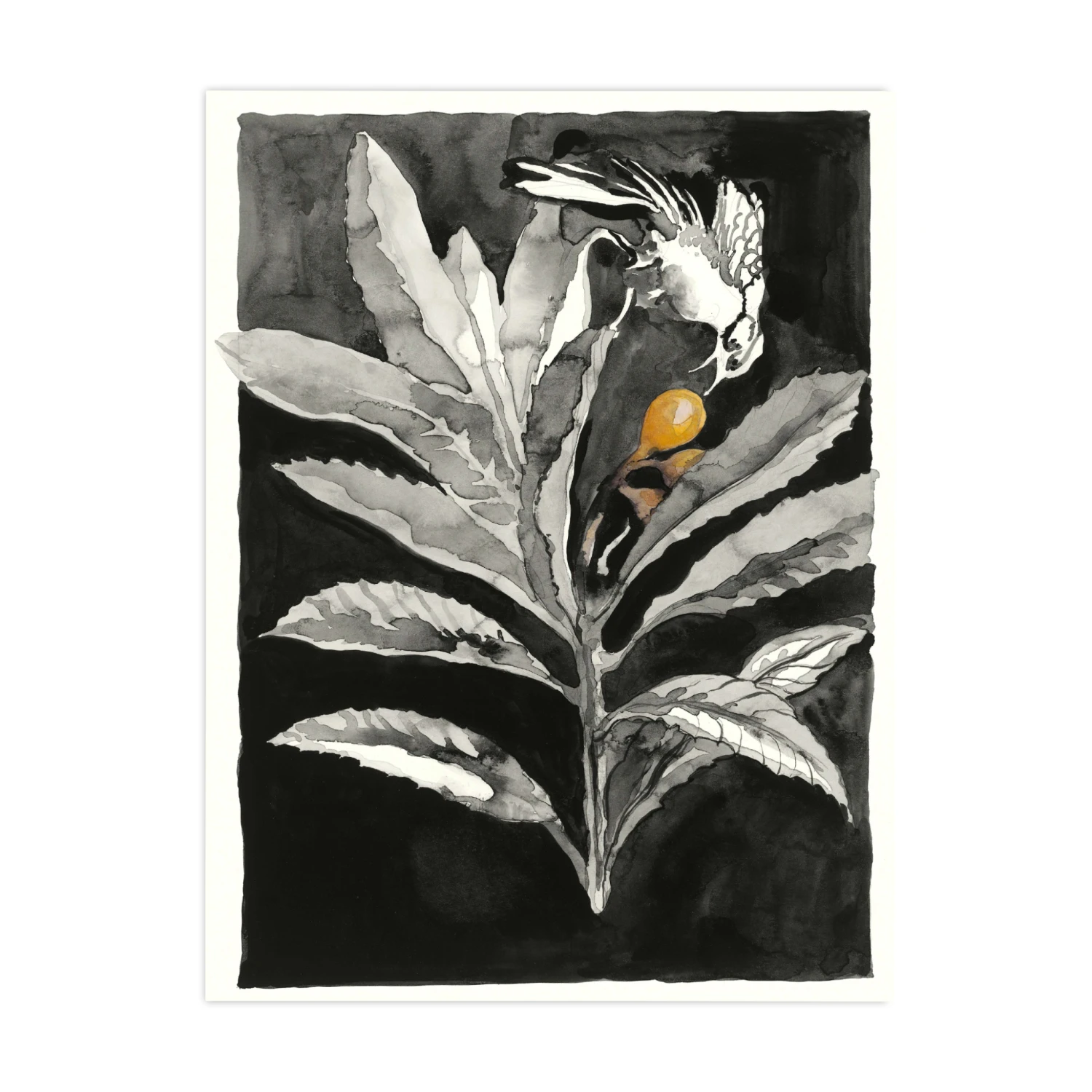 Velma Readers 4 Velma Readers - Image 2