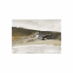 Killdear — Watercolor By Seth Fite