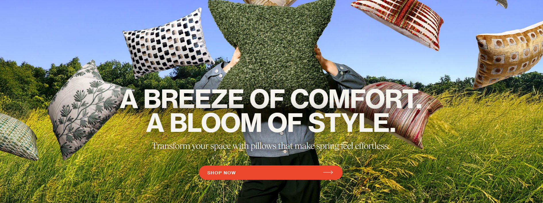 Home Furnishings Store -Home Furnishings Store dgdfg